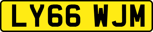 LY66WJM