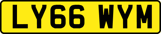 LY66WYM