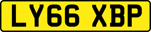 LY66XBP