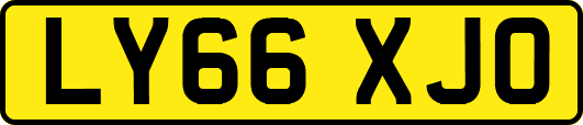 LY66XJO