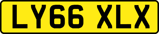 LY66XLX