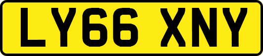LY66XNY