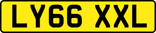 LY66XXL