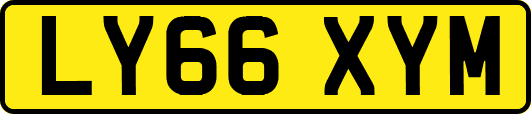 LY66XYM