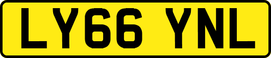 LY66YNL
