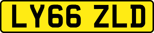 LY66ZLD