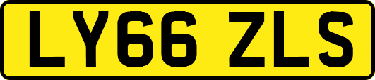 LY66ZLS