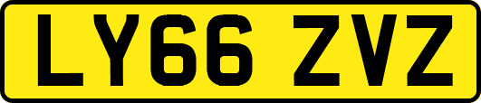 LY66ZVZ