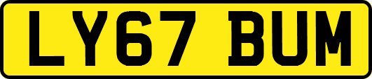 LY67BUM