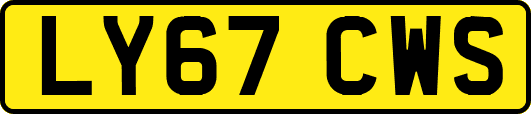 LY67CWS