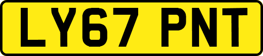 LY67PNT