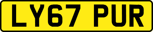 LY67PUR