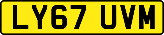 LY67UVM