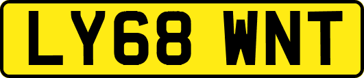 LY68WNT