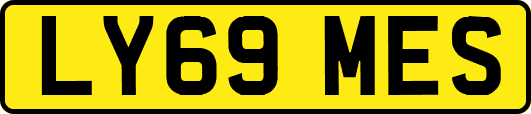 LY69MES