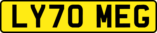 LY70MEG