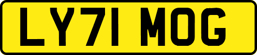 LY71MOG
