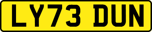 LY73DUN