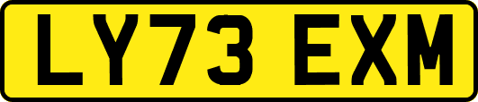 LY73EXM