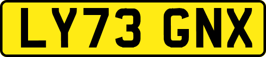 LY73GNX