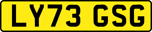 LY73GSG
