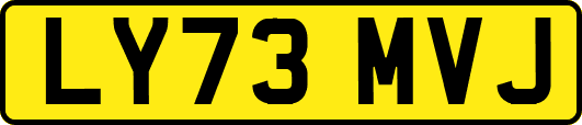 LY73MVJ
