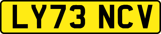LY73NCV