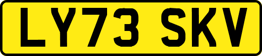 LY73SKV