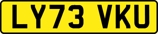 LY73VKU