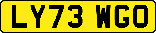 LY73WGO