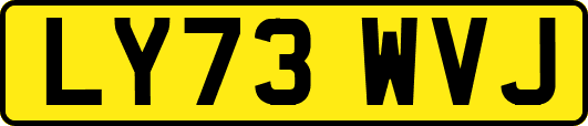 LY73WVJ