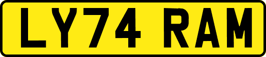 LY74RAM