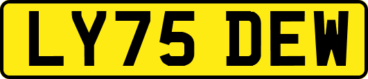 LY75DEW