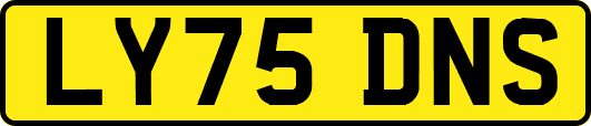 LY75DNS