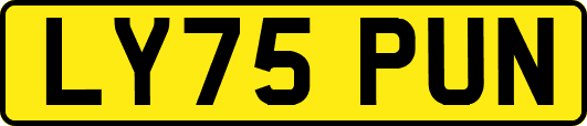 LY75PUN