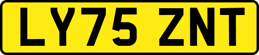 LY75ZNT