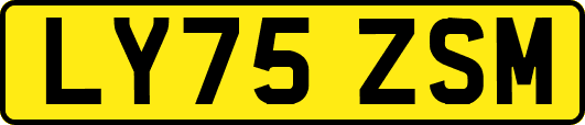 LY75ZSM