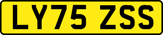 LY75ZSS