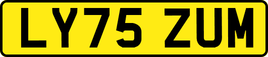 LY75ZUM