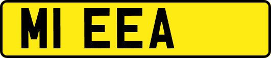 M1EEA
