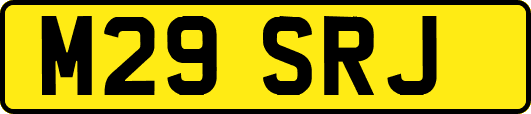 M29SRJ