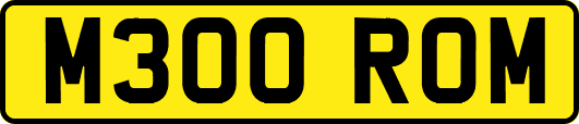 M300ROM