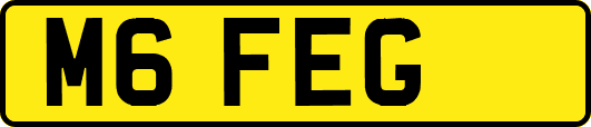 M6FEG