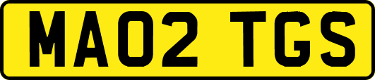 MA02TGS