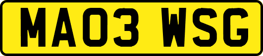 MA03WSG