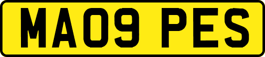 MA09PES