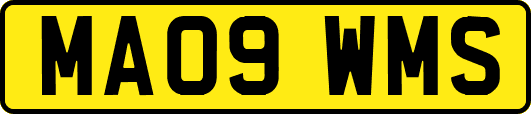 MA09WMS
