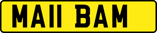 MA11BAM