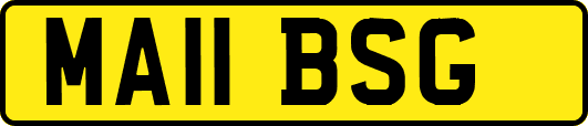MA11BSG