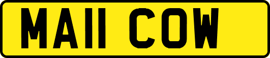 MA11COW